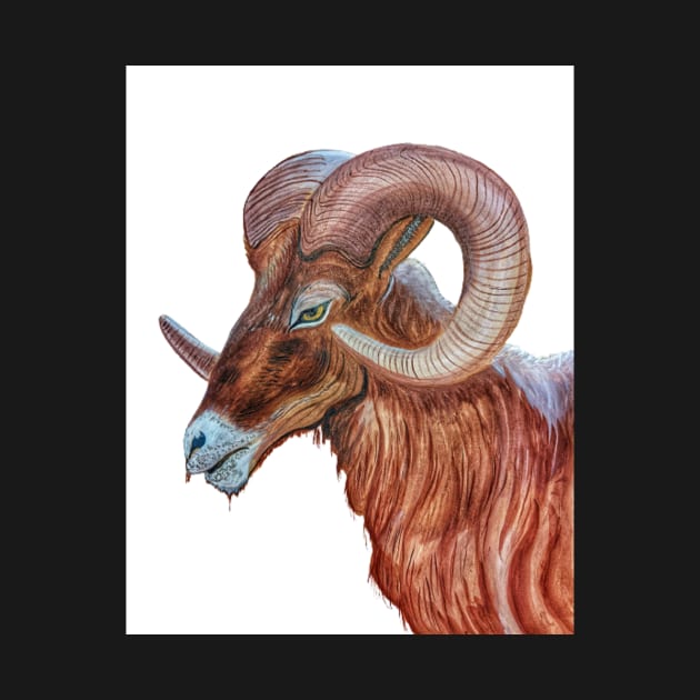 Bighorn Ram by Matt Starr Fine Art