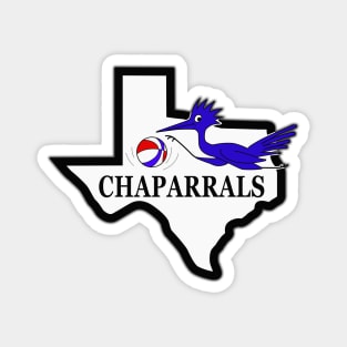 DEFUNCT - DALLAS CHAPPARALS Magnet