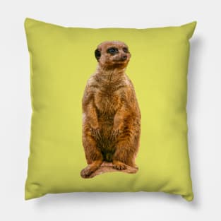 Alert Meerkat Pillow