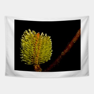 Fresh Banksia Tapestry