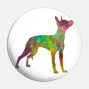 Xoloitzcuintle in watercolor Pin