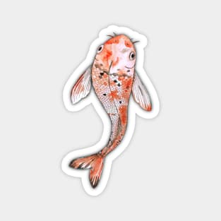 Koi Magnet