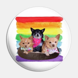 Rainbow Paint Chihuahua Pin