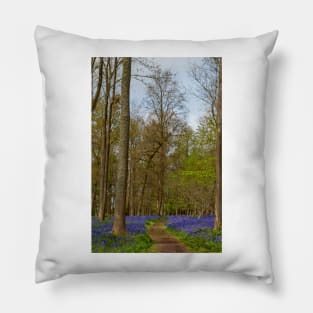 Bluebell Woods Greys Court Oxfordshire England UK Pillow