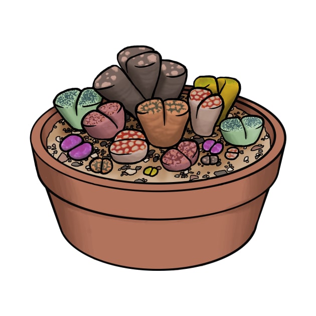 Butt Plant, Living Stones - Lithops Succulents by Charredsky