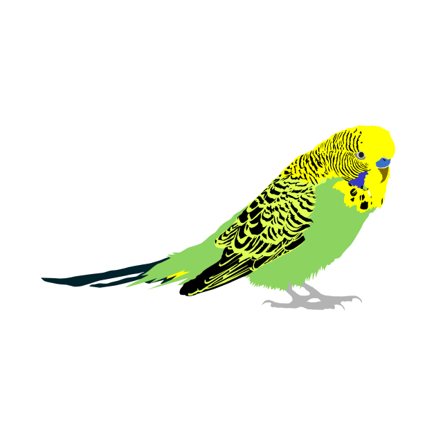 Budgie by stargatedalek