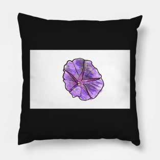 Petunia Sketch Pillow