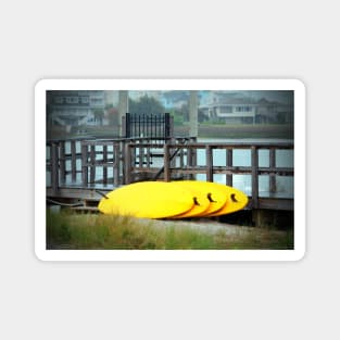 Four Yellow Surfboards Magnet