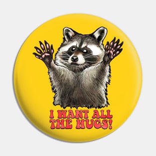 Racoon Hug Pin