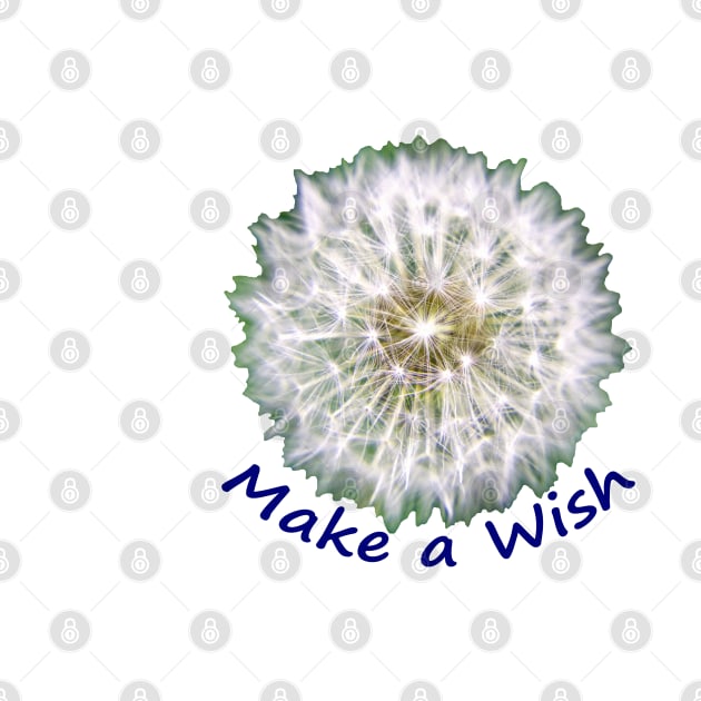 Make a Wish Dandelion Puff by elisewied