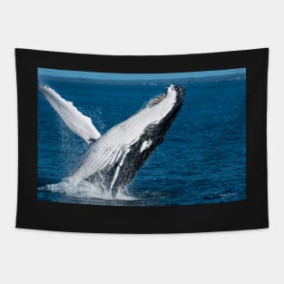 Whale of a time Tapestry