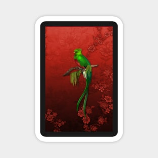 Exotic Quetzal Bird on Red Floral Magnet