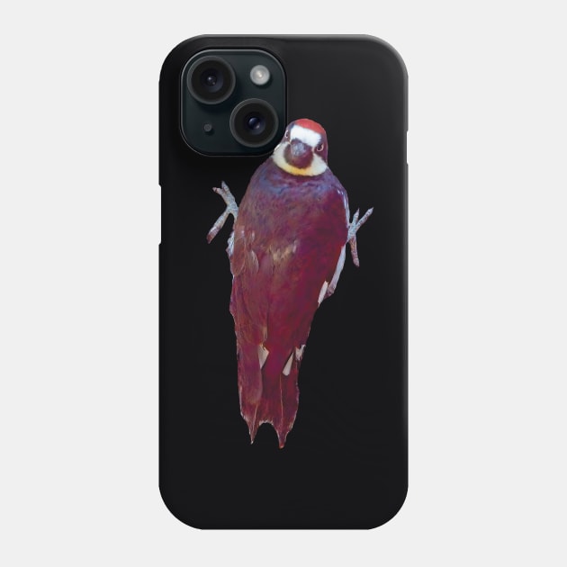 Acorn Woodpecker Looking Over It's Back Phone Case by DPattonPD