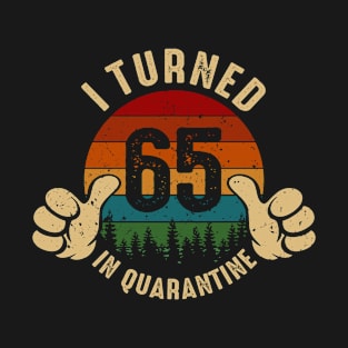 I Turned 65 In Quarantine T-Shirt