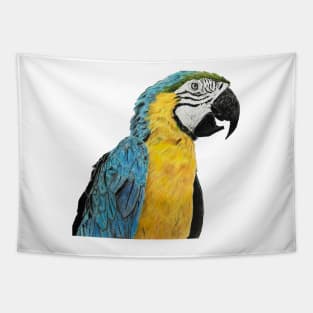 Parrot Drawing Tapestry