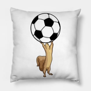Squirrel with Soccer ball Pillow