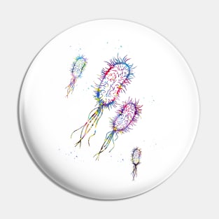 Escherichia coli Pin