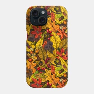 Autumn treasures 2 Phone Case