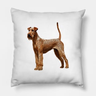 Irish Terrier Dog Pillow