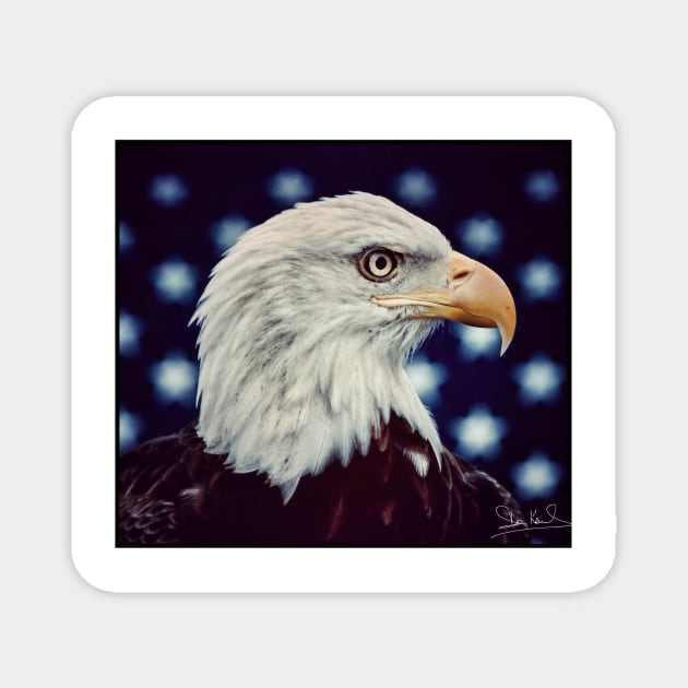 Eagle Symbol of Freedom, Majestic Bird Image Magnet by Art2Wear