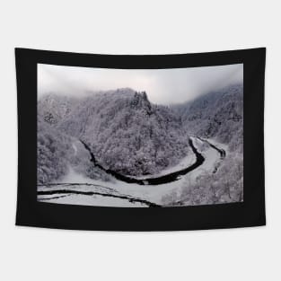 Frosty canyon and river Tapestry