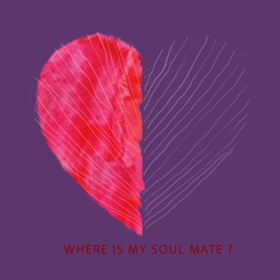 WHERE IS MY SOUL MATE T-Shirt