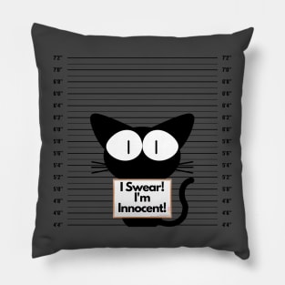 I Swear! I'm Innocent! Pillow