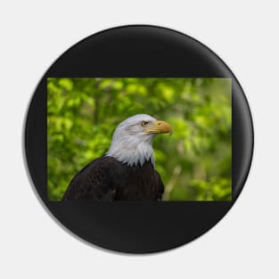 Eagle Pin