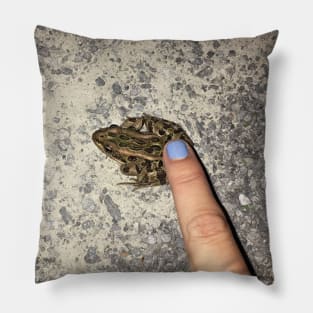 Frog Point Pillow