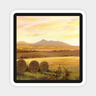 Golden Bales of Bennachie Magnet