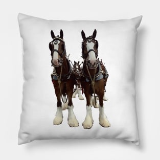 Clydesdales Pillow