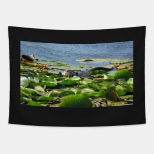 Nutria biting leaf Tapestry