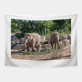 Pair of Asian Elephants eating Tapestry