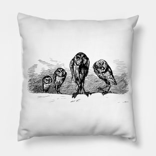 Owl - Crazy Owls Pillow