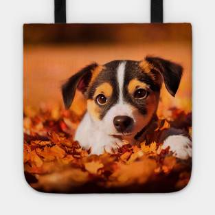 Cute dog at autumn nature Tote