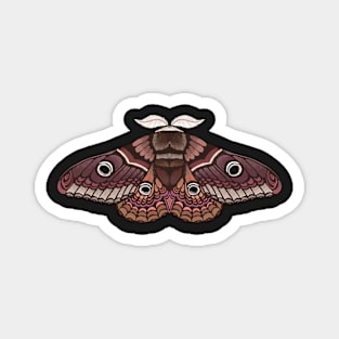 Moth sticker brown Magnet