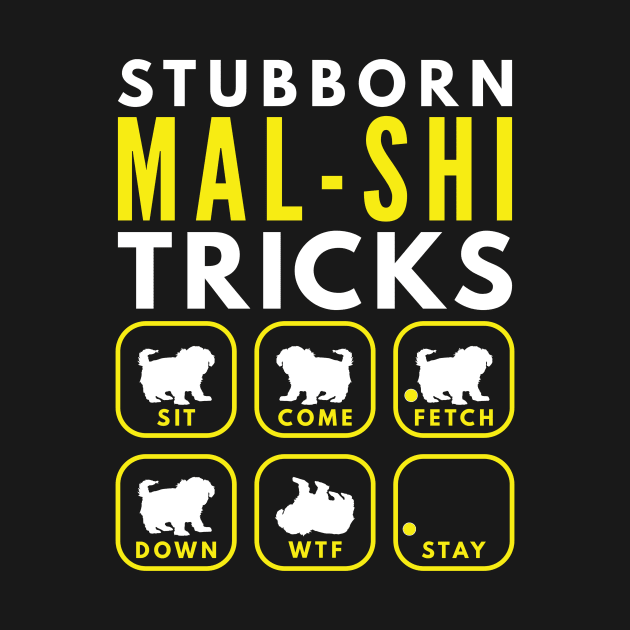 Stubborn Mal-Shi Tricks - Dog Training by DoggyStyles