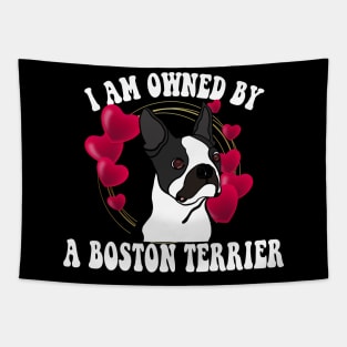 I am owned by a Boston Terrier Tapestry