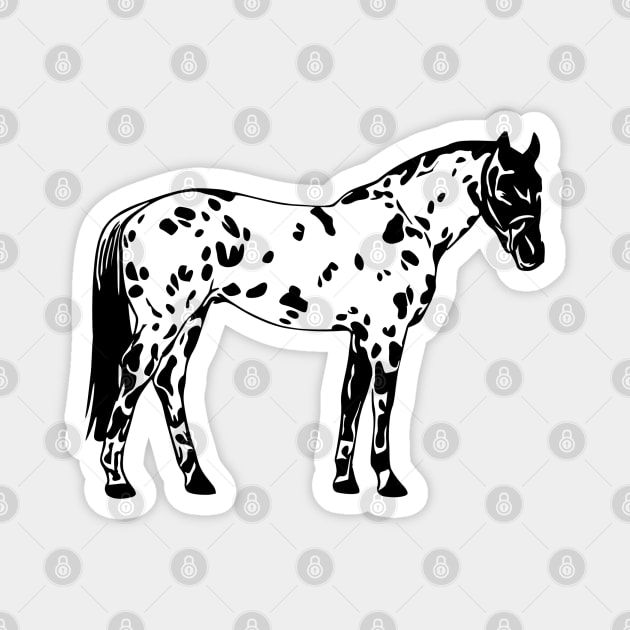 Appaloosa Spotted Horse Magnet by KayBee Gift Shop