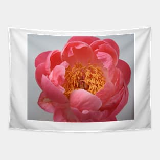 Peony flower display Tapestry