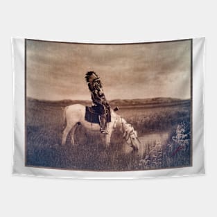 Native American on Horseback, Oasis in the Badlands 1905 Edward S Curtis Tapestry