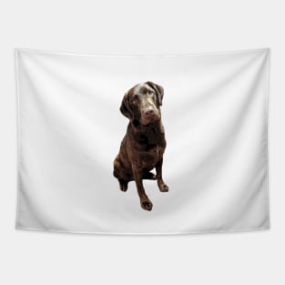 Labrador Chocolate Lab Tapestry