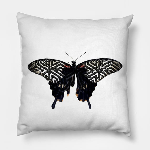 Butterfly Abstract Pattern Pillow by i2studio