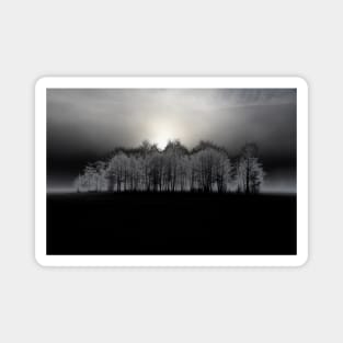 Dark Art Forest in the Fog / Swiss Artwork Photography Magnet