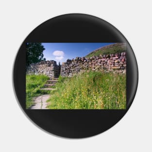 Stone Walls and Wildflowers at Muker Yorkshire Dales Pin