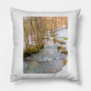 Calc-sinter or Travertine terraces, Gutenberg, South Germany Pillow