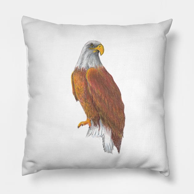 Eagle Pillow by ReneeDixonArt