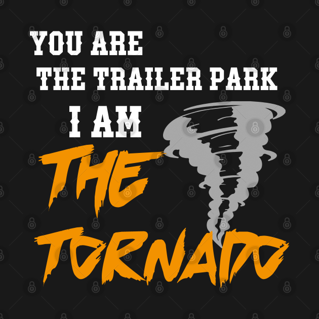 Disover you are the trailer park i am the tornado - You Are The Trailer Park I Am The Torna - T-Shirt