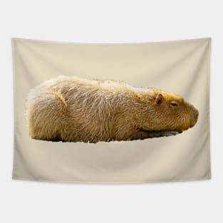 You Can't see me Capybara Tapestry