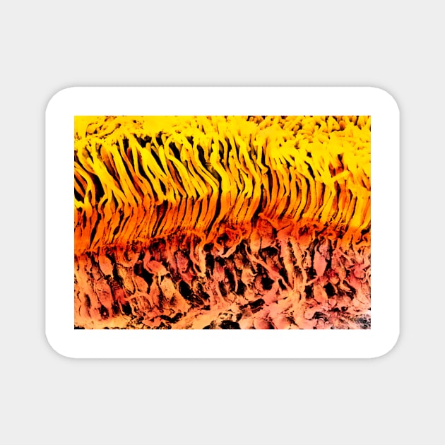 Coloured SEM of a section through the human retina (P424/0098) Magnet by SciencePhoto